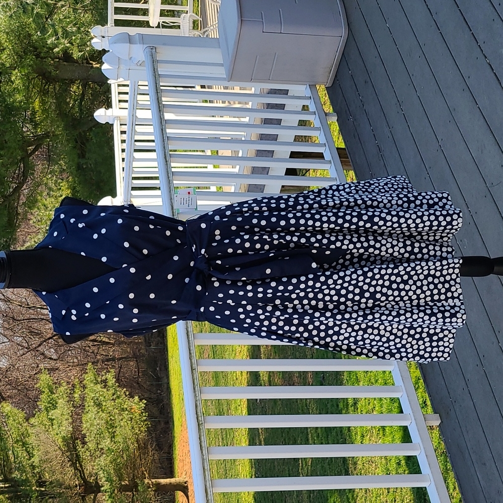 Anne Klein Navy Polkadot Dress